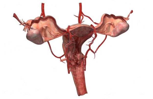 razlozi za razvoj varikoznih vena male zdjelice